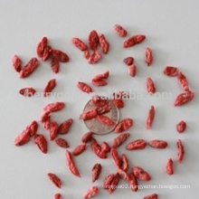 Dried Goji berry seeds/Goji seed/Wolfberry seeds/Ningxia origin